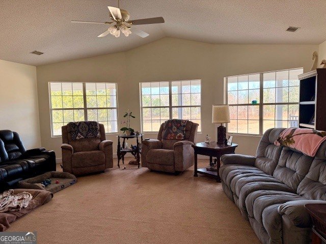 1431 Community Road Glennville - Photo 24