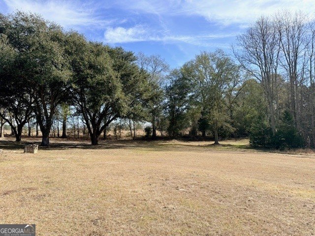 1431 Community Road Glennville - Photo 30