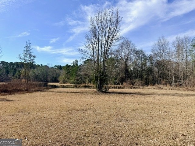 1431 Community Road Glennville - Photo 33