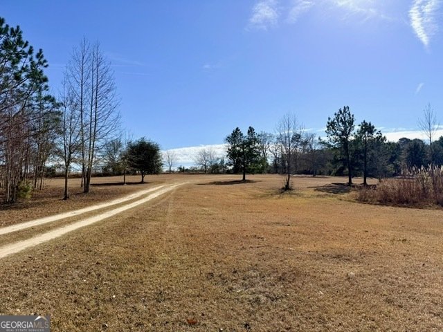 1431 Community Road Glennville - Photo 34