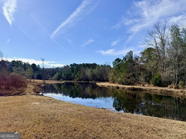 1431 Community Road Glennville - Photo 35