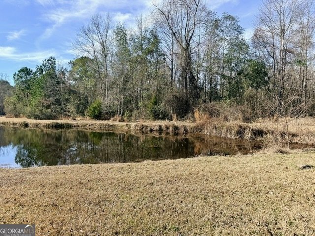 1431 Community Road Glennville - Photo 36