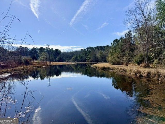 1431 Community Road Glennville - Photo 37