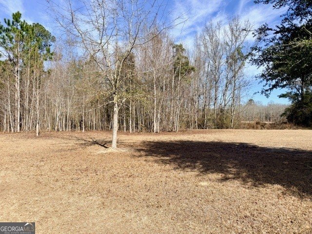 1431 Community Road Glennville - Photo 38