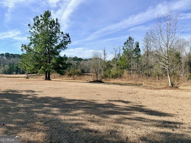 1431 Community Road Glennville - Photo 39