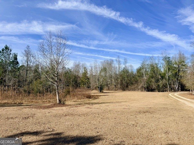 1431 Community Road Glennville - Photo 40