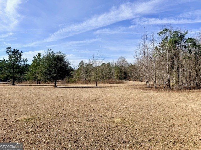 1431 Community Road Glennville - Photo 41