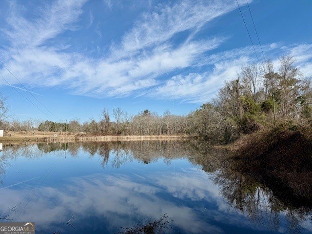 1431 Community Road Glennville - Photo 42