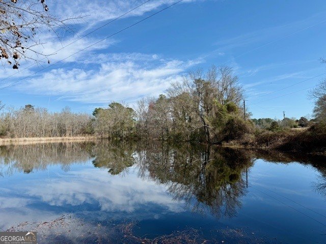 1431 Community Road Glennville - Photo 43