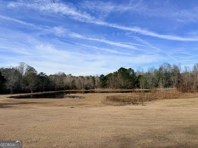 1431 Community Road Glennville - Photo 44