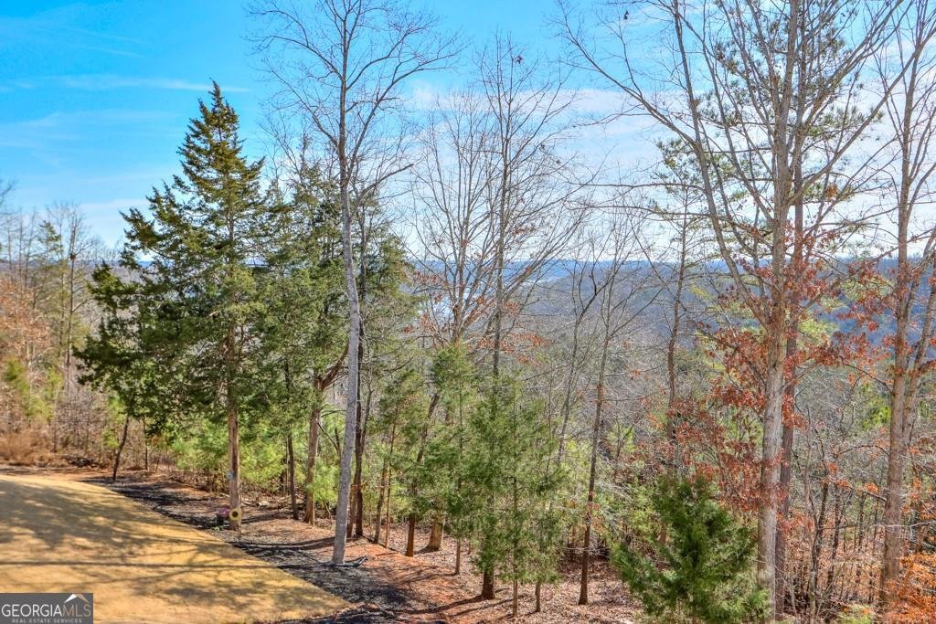 7410 Crestline Drive Dawsonville - Photo 25