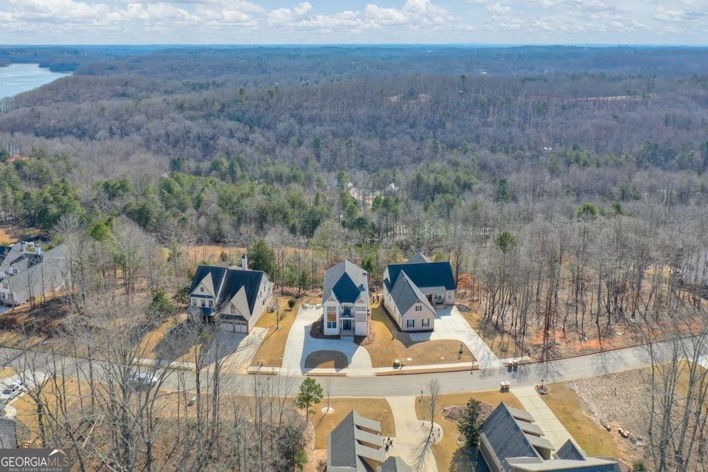 7410 Crestline Drive Dawsonville - Photo 62