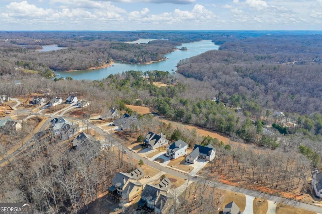 7410 Crestline Drive Dawsonville - Photo 63