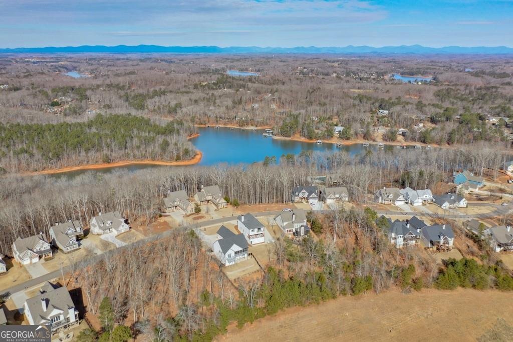 7410 Crestline Drive Dawsonville - Photo 64