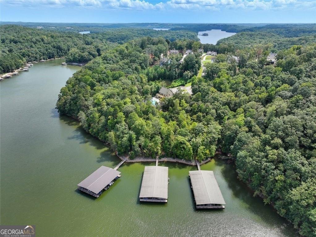 7410 Crestline Drive Dawsonville - Photo 67