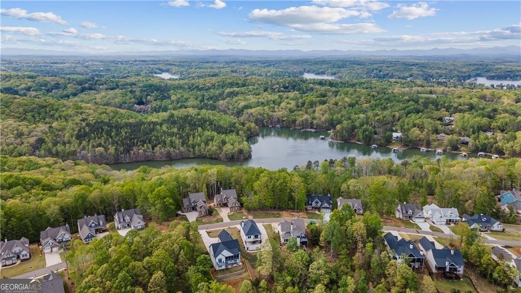 7410 Crestline Drive Dawsonville - Photo 71