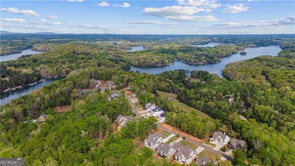 7410 Crestline Drive Dawsonville - Photo 72