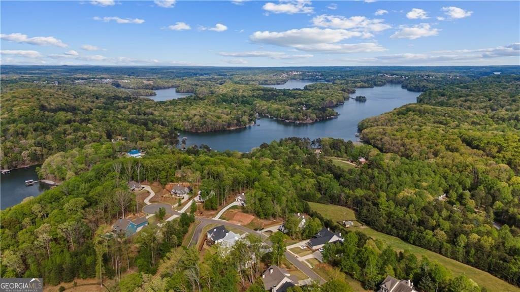 7410 Crestline Drive Dawsonville - Photo 73