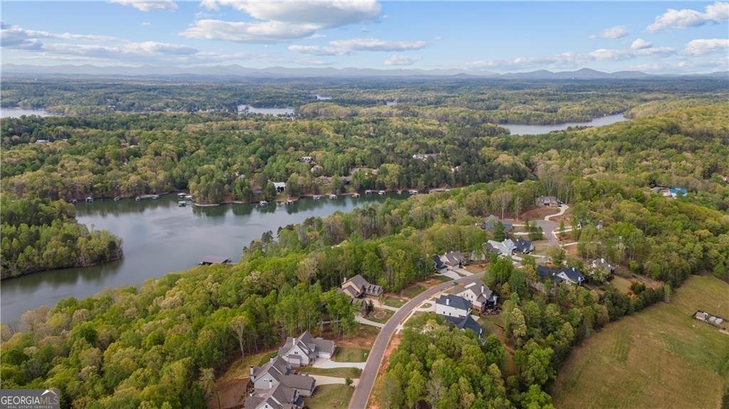 7410 Crestline Drive Dawsonville - Photo 74