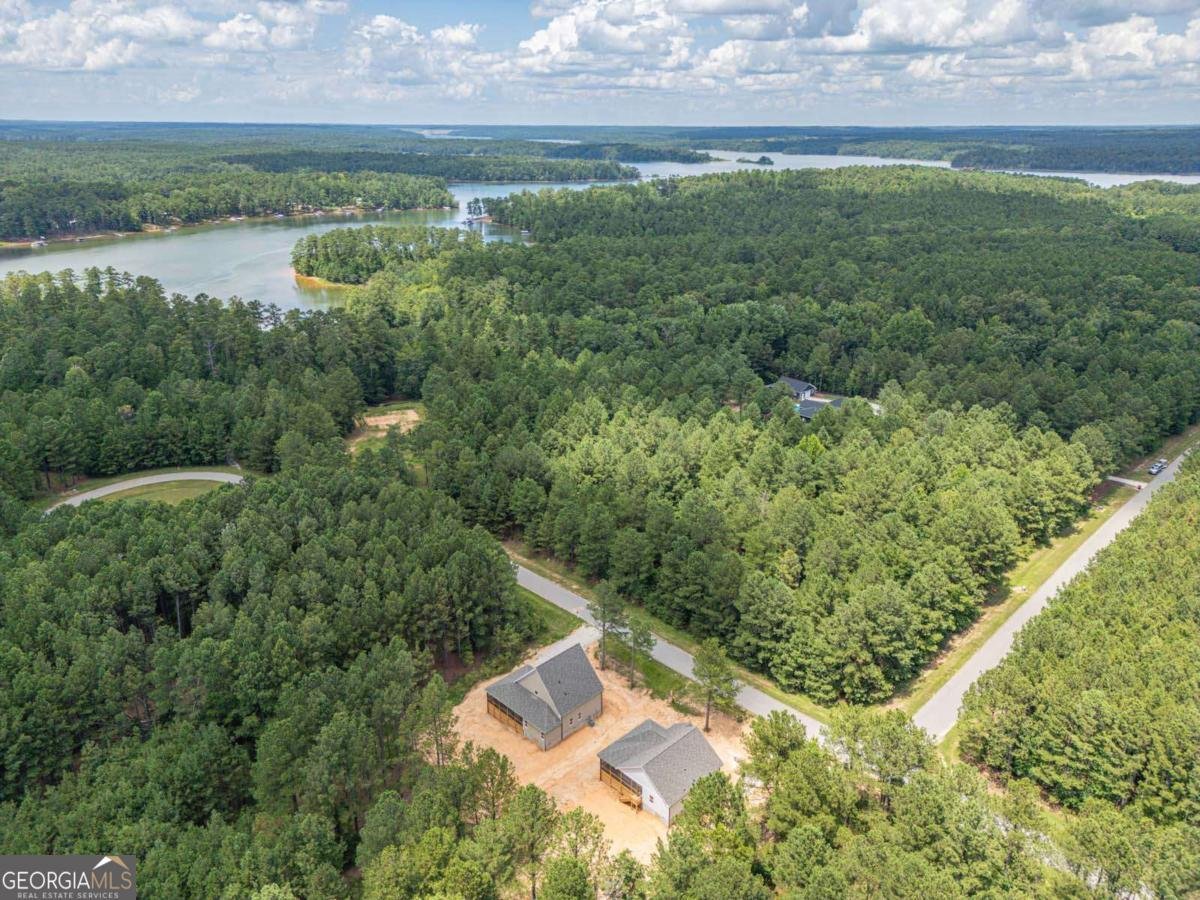 1198 Sunset Cove Tignall - Photo 41