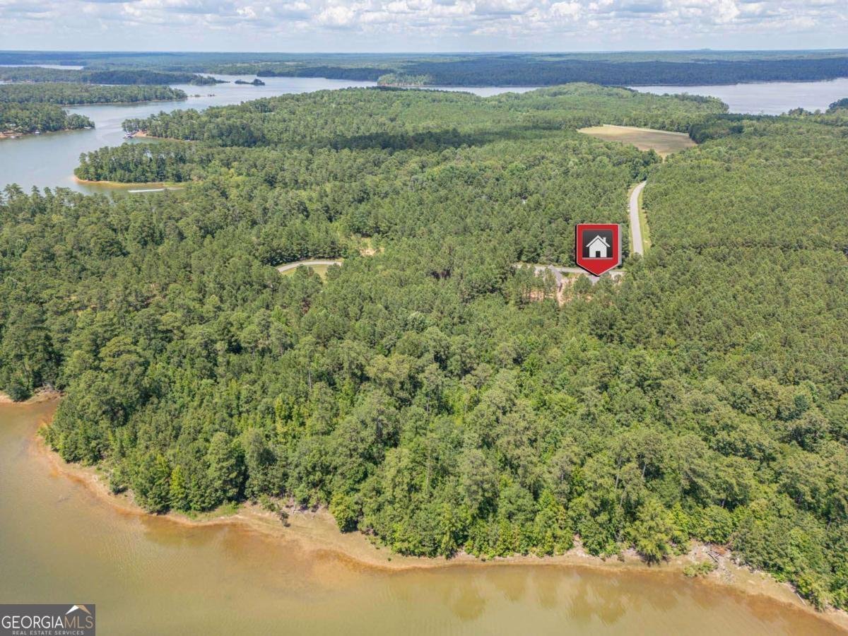 1198 Sunset Cove Tignall - Photo 46