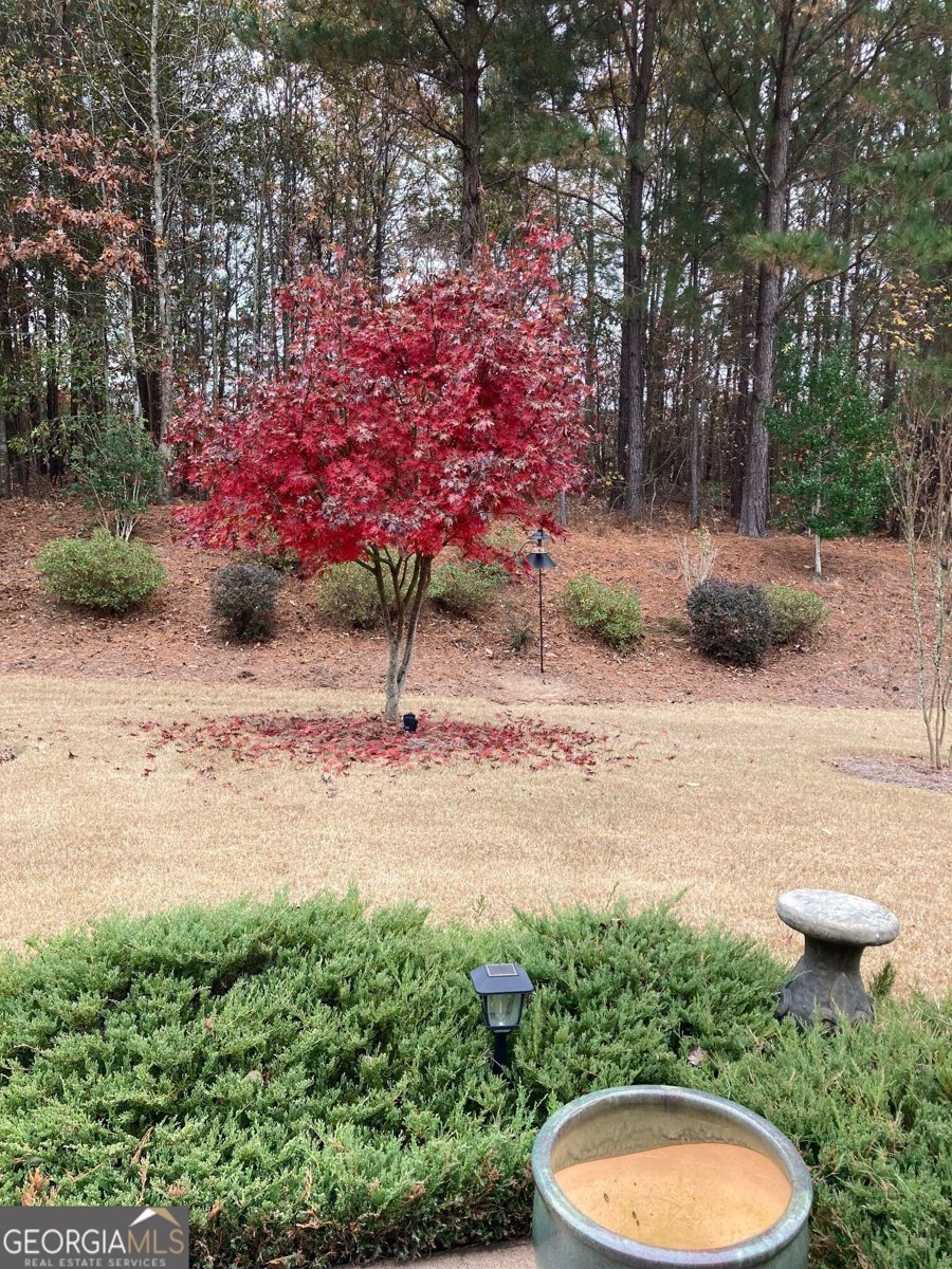 211 Spruce Pine Circle Peachtree City - Photo 29