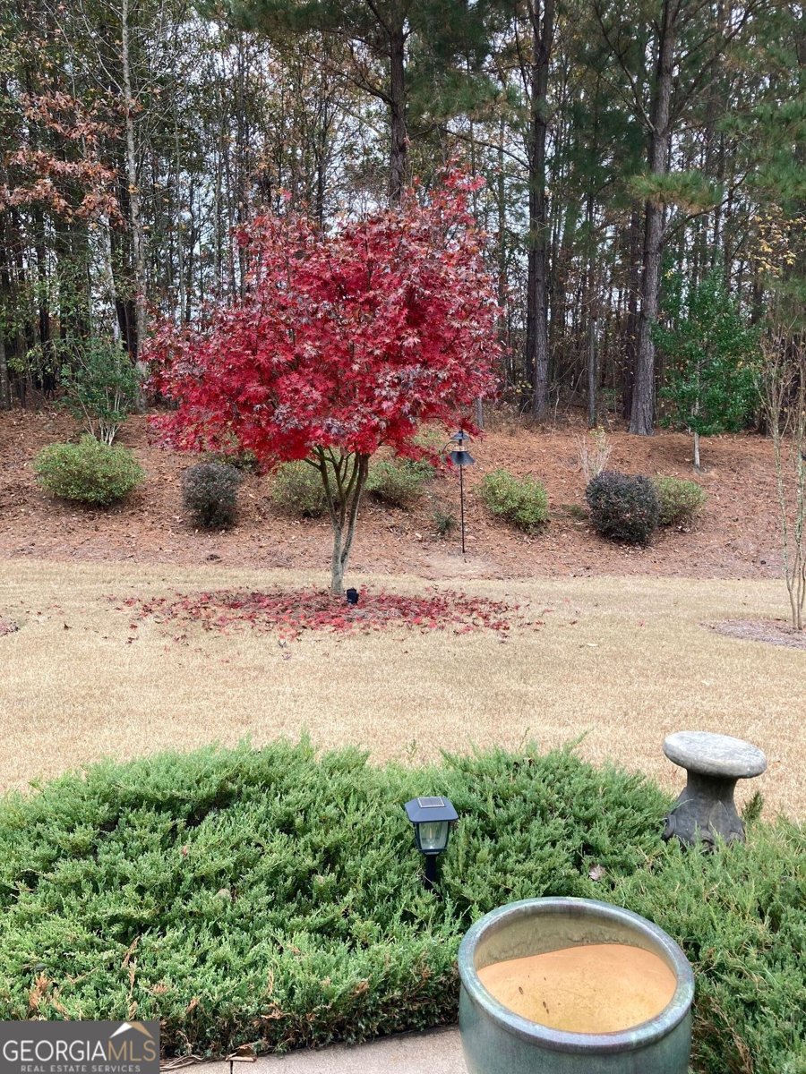 211 Spruce Pine Circle Peachtree City - Photo 37