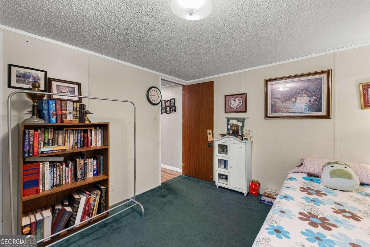 351 East Milner Road Zebulon - Photo 31