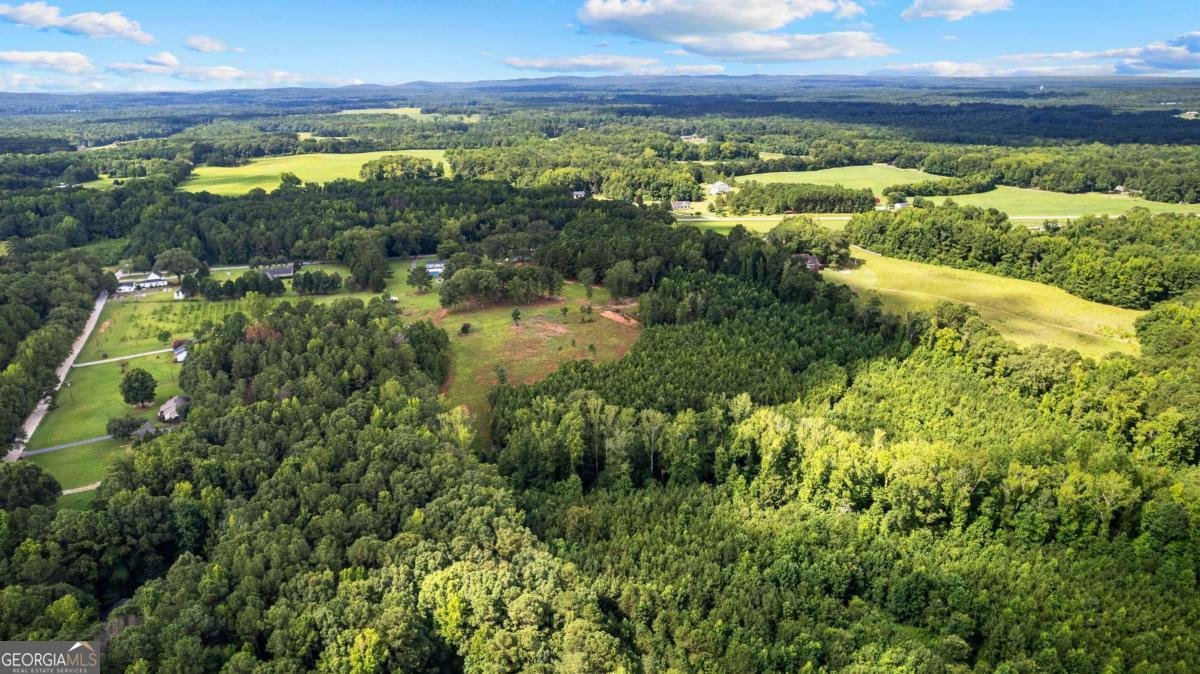 351 East Milner Road Zebulon - Photo 64