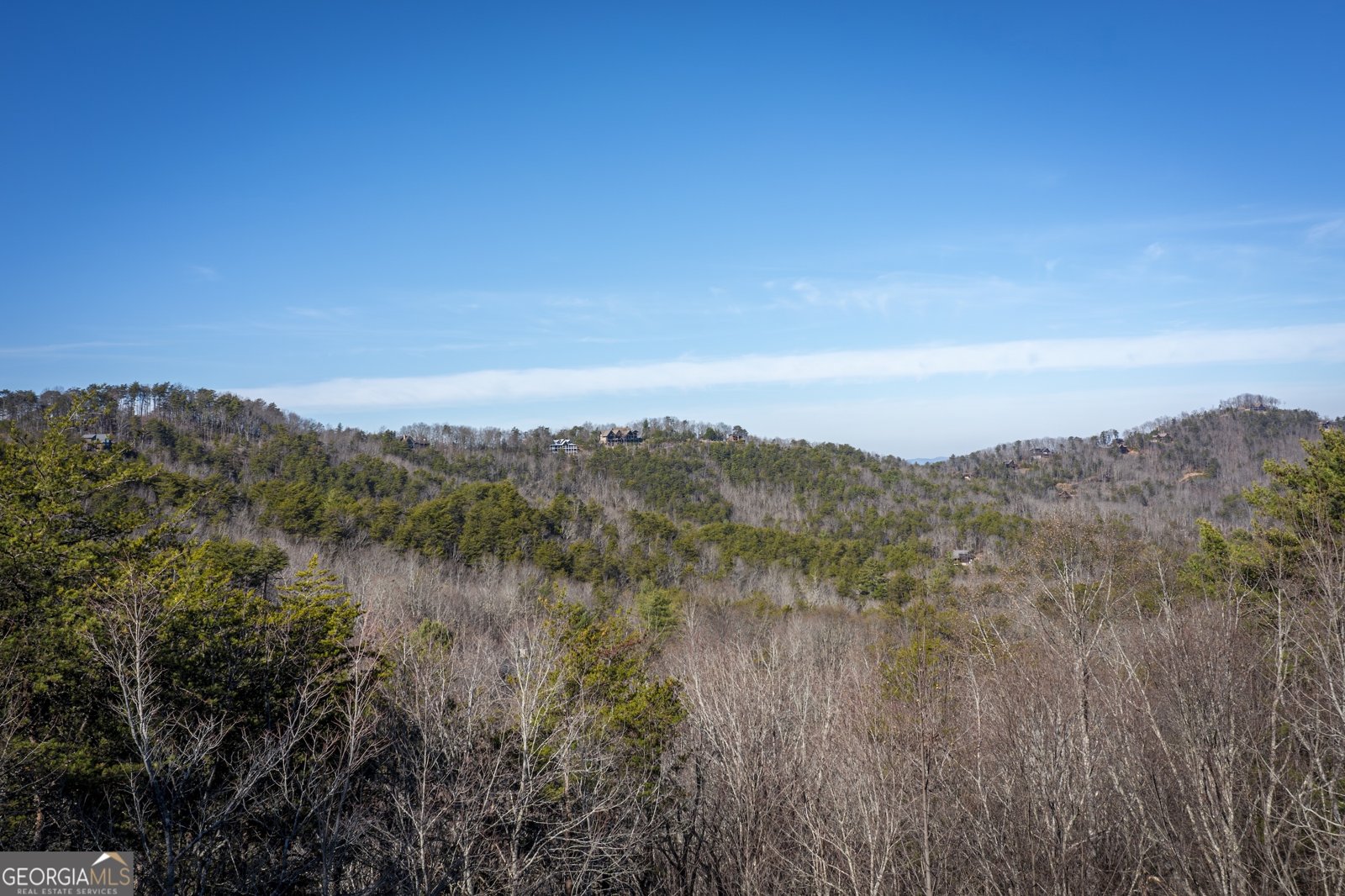 174 Chestnut Ridge Blue Ridge - Photo 14