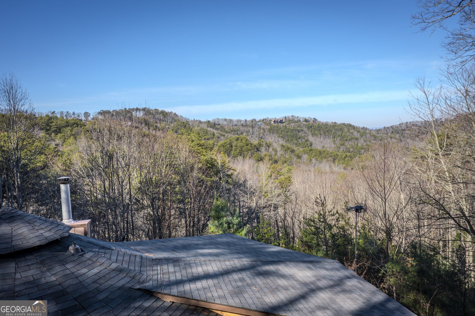 174 Chestnut Ridge Blue Ridge - Photo 43