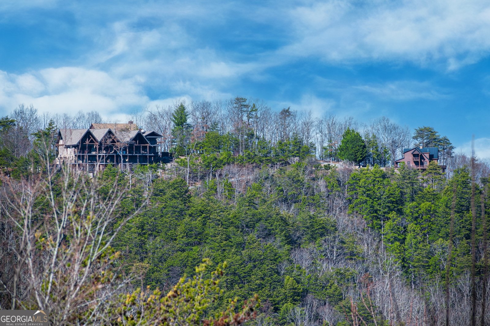 174 Chestnut Ridge Blue Ridge - Photo 45