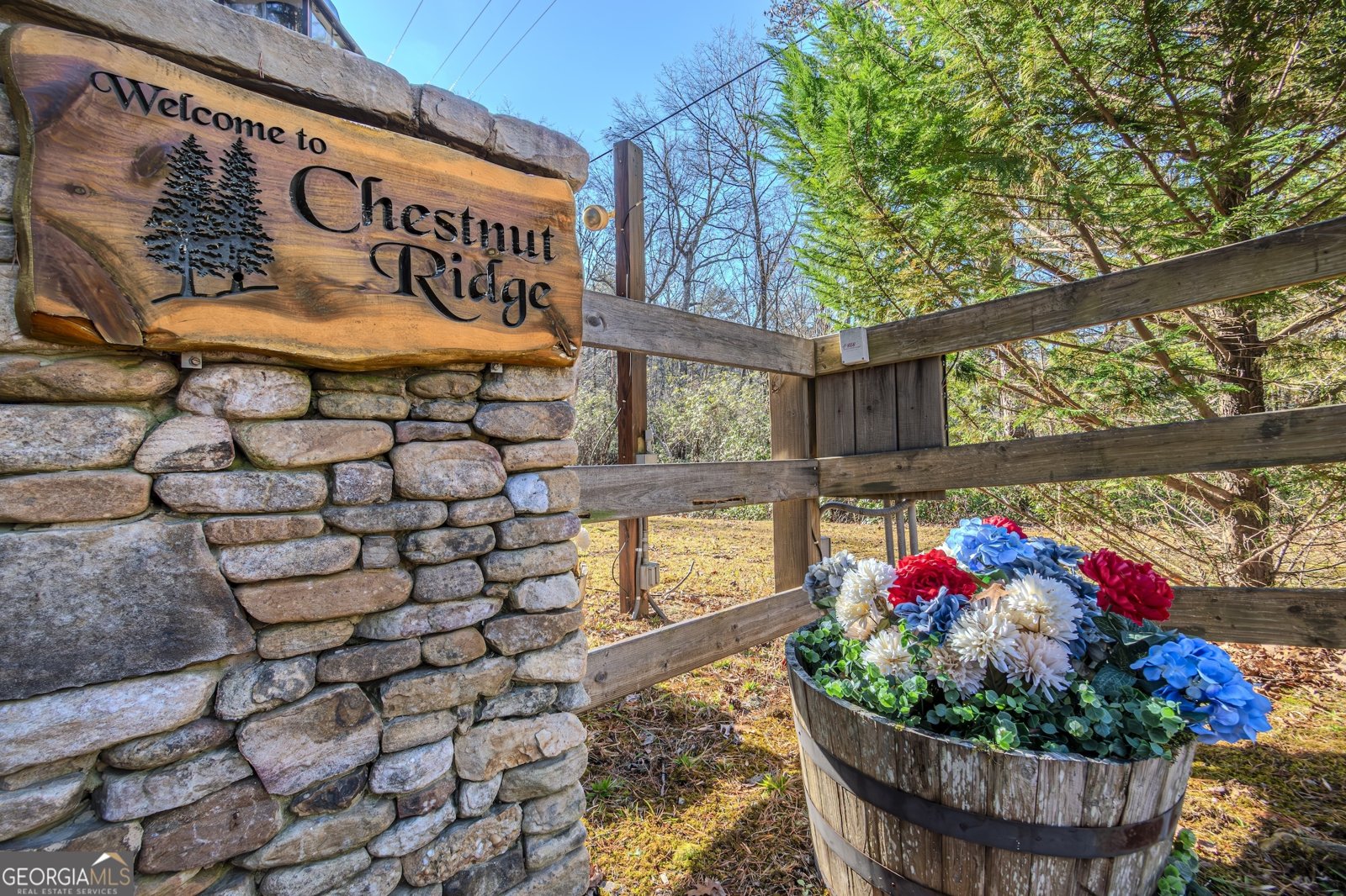 174 Chestnut Ridge Blue Ridge - Photo 46