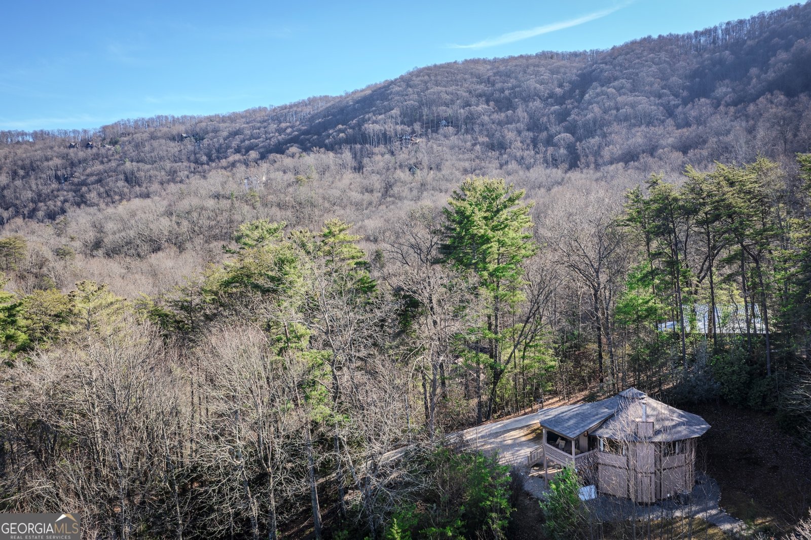 174 Chestnut Ridge Blue Ridge - Photo 7