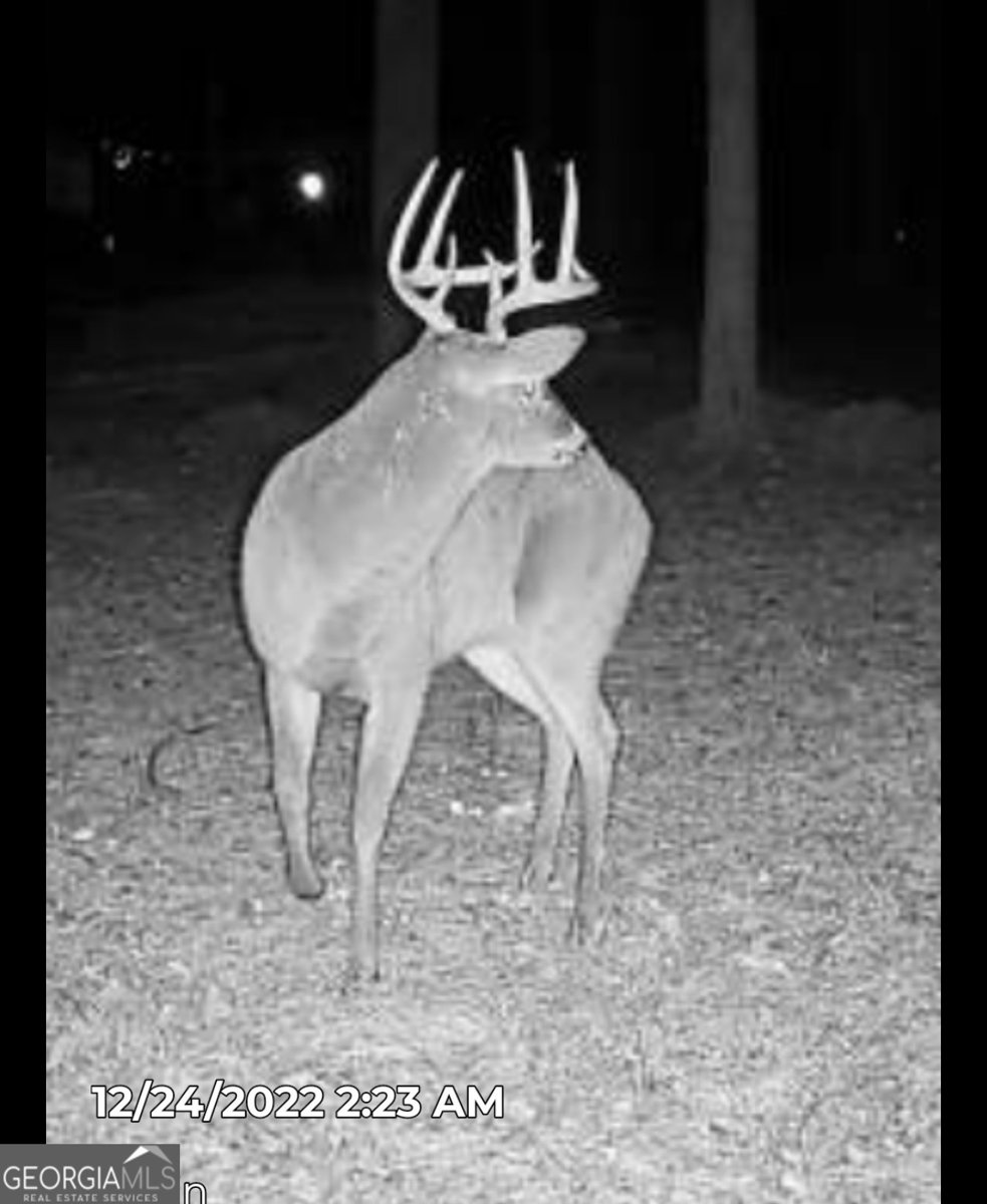 222 Grouse Lane Talking Rock - Photo 68