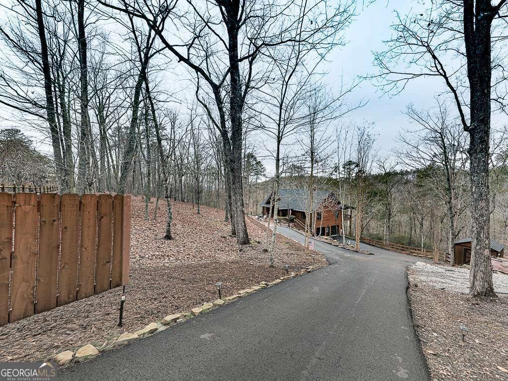 1670 Outback Road Jasper - Photo 59