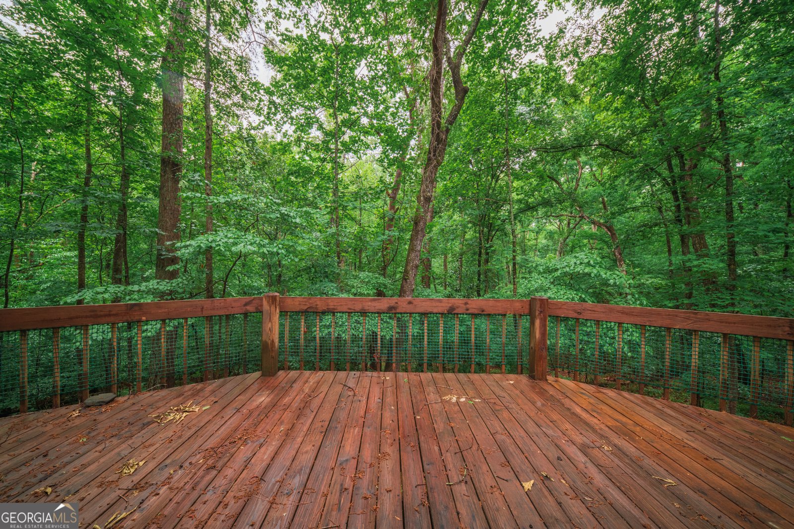 2416 Mount Vernon Road Lithia Springs - Photo 38