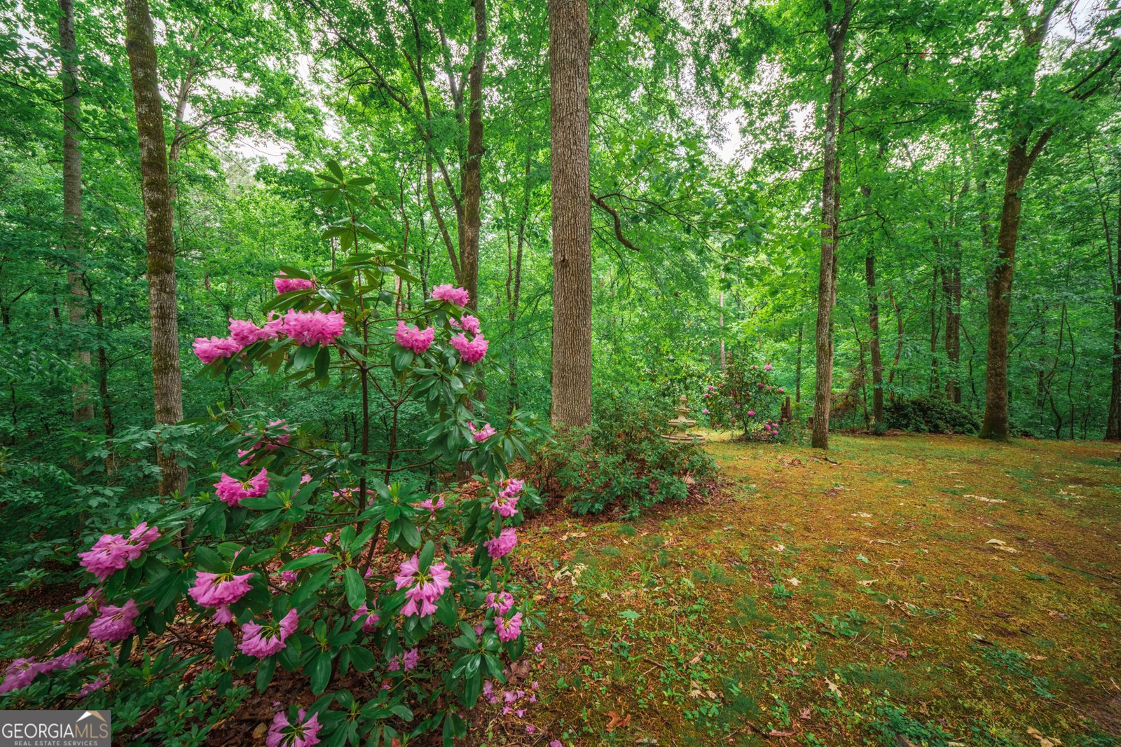 2416 Mount Vernon Road Lithia Springs - Photo 42