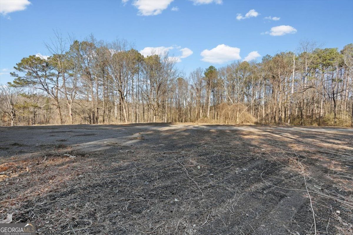 202 Sam House Road Bremen - Photo 28