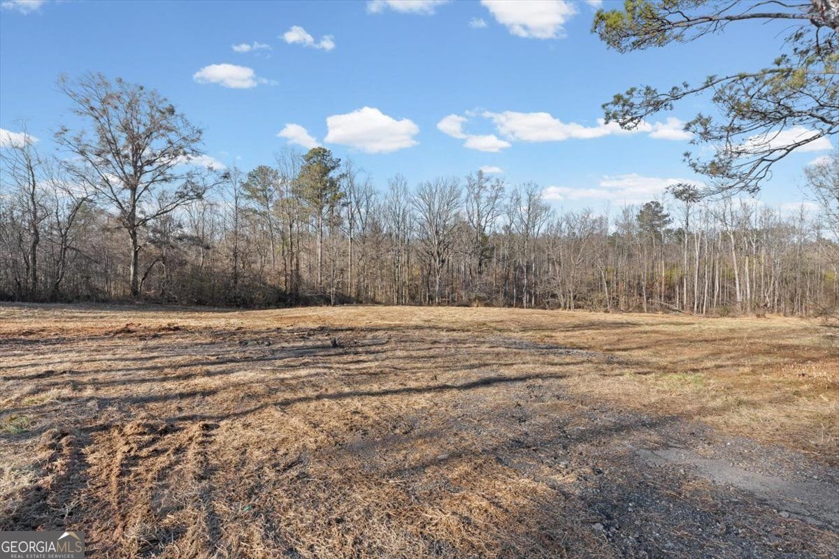 202 Sam House Road Bremen - Photo 32