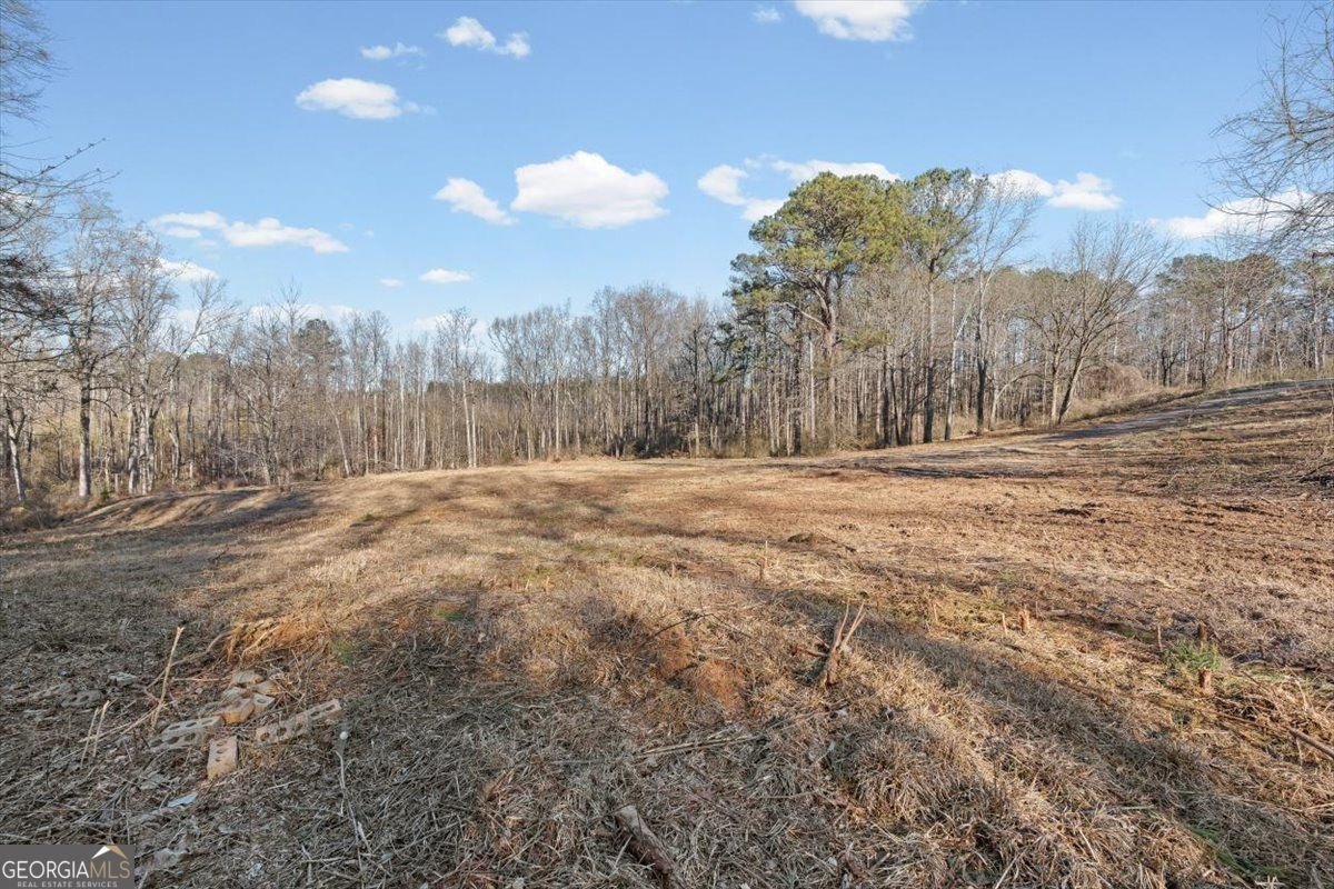 202 Sam House Road Bremen - Photo 33