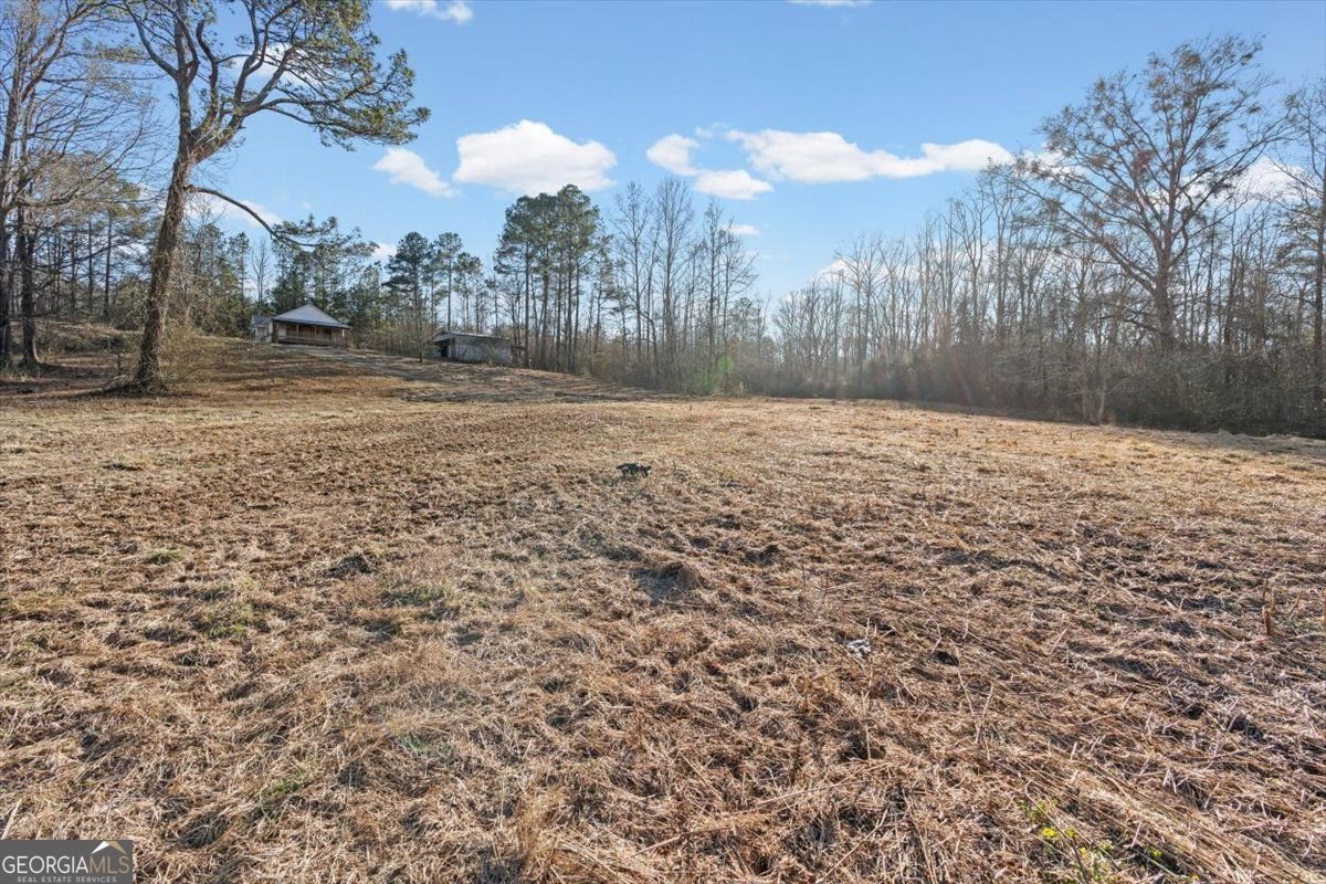 202 Sam House Road Bremen - Photo 34