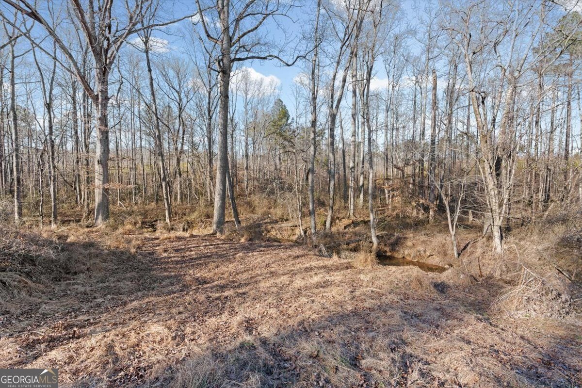 202 Sam House Road Bremen - Photo 35