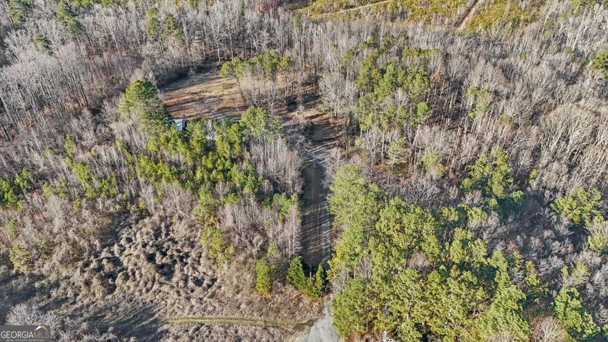 202 Sam House Road Bremen - Photo 39