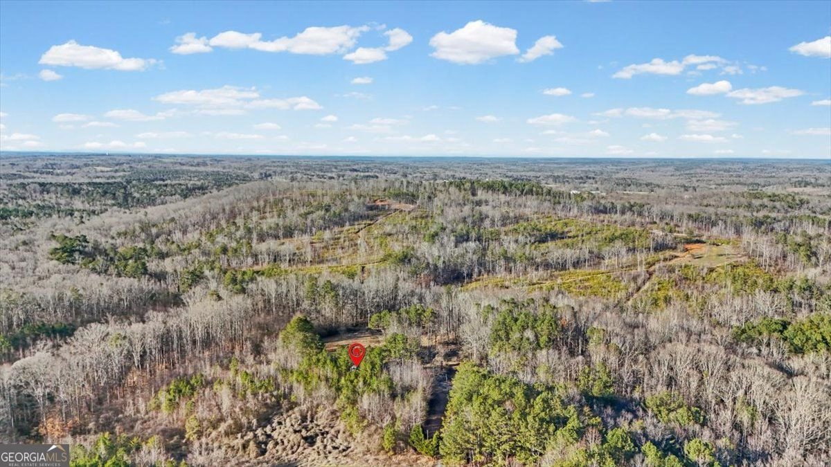 202 Sam House Road Bremen - Photo 44