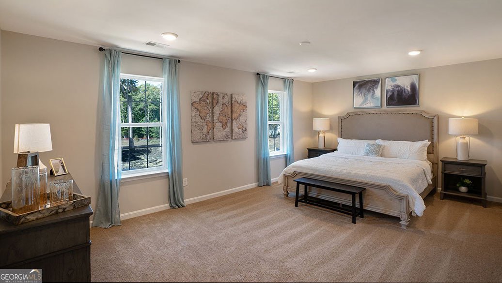 543 Great Salt Lane Hoschton - Photo 12