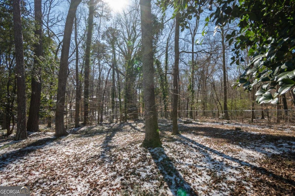 220 Ansley Drive Athens - Photo 43