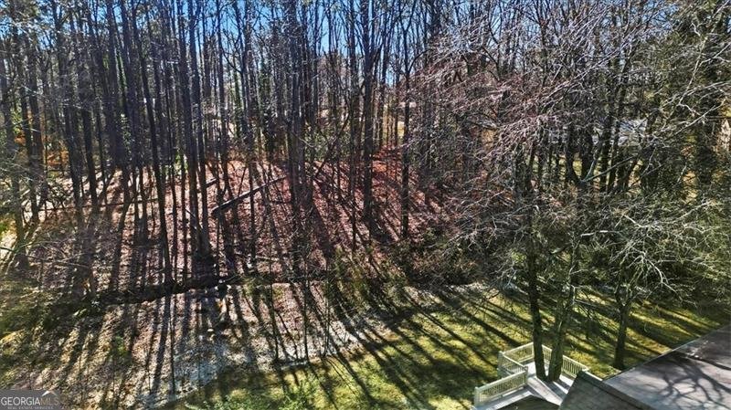 340 Tidwell Road Alpharetta - Photo 54