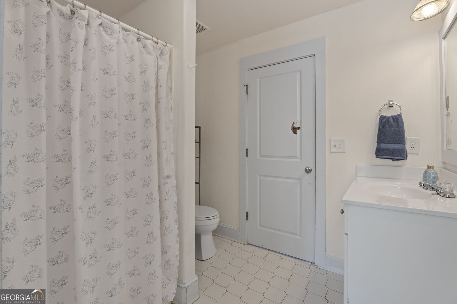 254 River Road McDonough - Photo 44