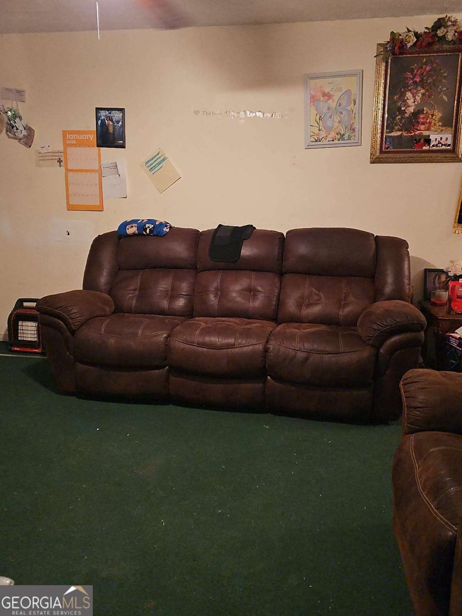 207 Fowler Street Swainsboro - Photo 10